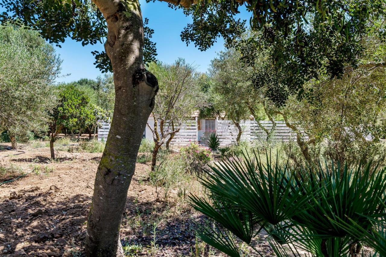 Casita-Estudio El Castano Эль-Пальмар Экстерьер фото
